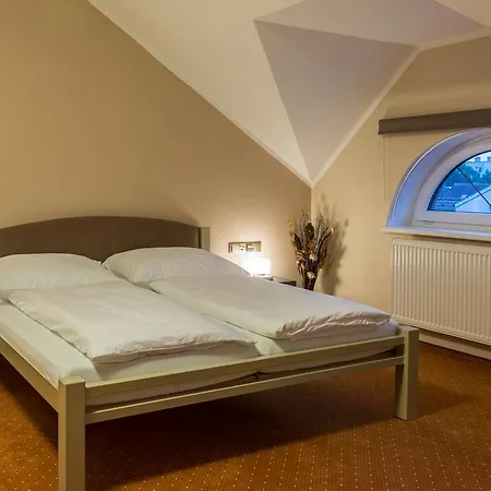 Luznice מלון Planá nad Lužnicí